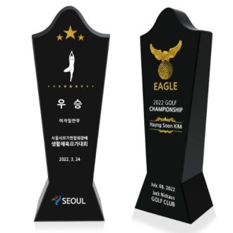 KC395 ������ǽ� �����̾� ���� ũ����Ż Ʈ���� 3