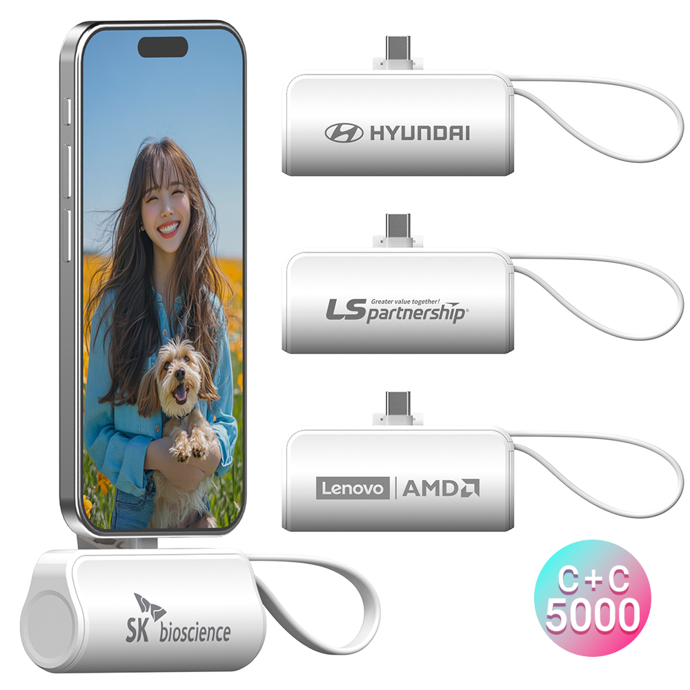 �����̾� 2in1 C to CŸ�� ��ŷ�� ��ü�� 5000mAh �������͸�