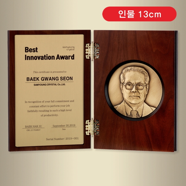 ������� SAM24W003